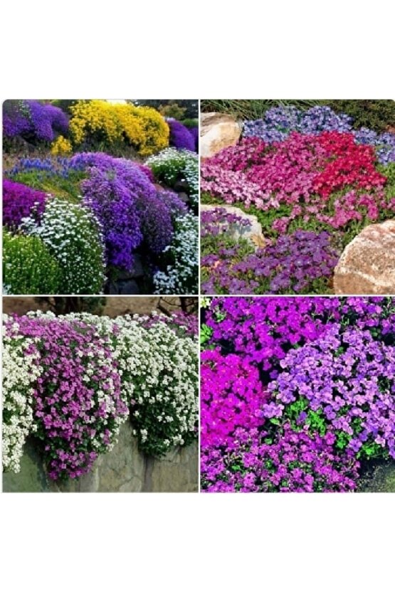 13 Litre Çiçekli Bitkiler Için Özel Toprak (ÖZEL TORF)