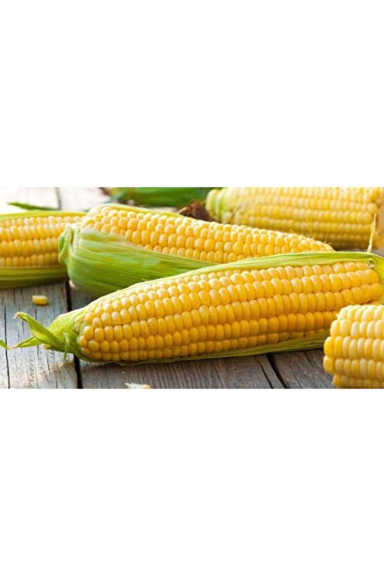150 Adet Haşlamalık Mısır Tohumu