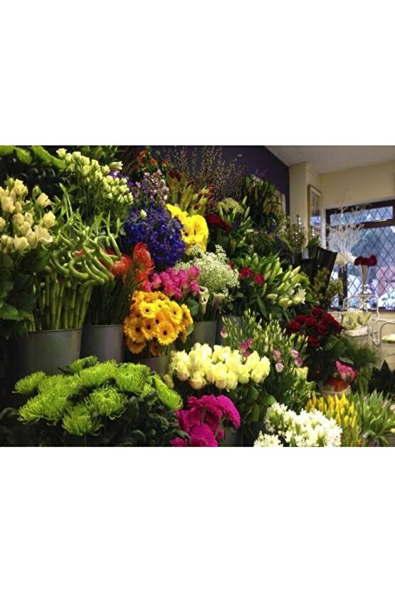 13 Litre Yeşil Yapraklı Ve Çiçekli Bitkiler Için Özel Torf