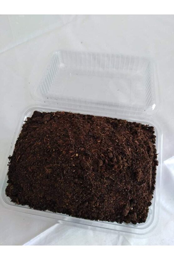 Kültür Mantarı Tohumu, Mantar Ekim Torfu Içinde Hazır Kit Ve Kılavuzu