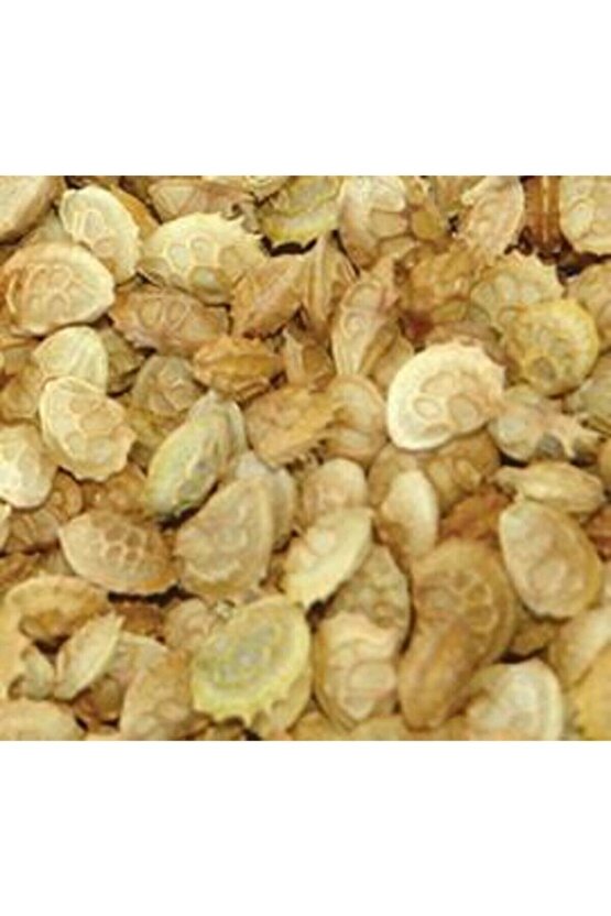 2000 Adet Korunga Kümes Hayvanları Yemi Tohumu