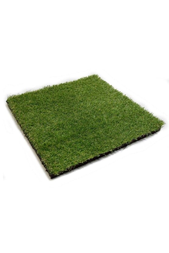 Kedi Çimi Tohumu (ORTALAMA 10.000 ADET)