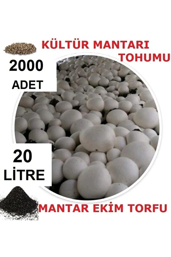 20 Litre Ekim Torfu Ve 2000 Adet Kültür Mantarı Tohumu Ile Eğitim Kılavuzu