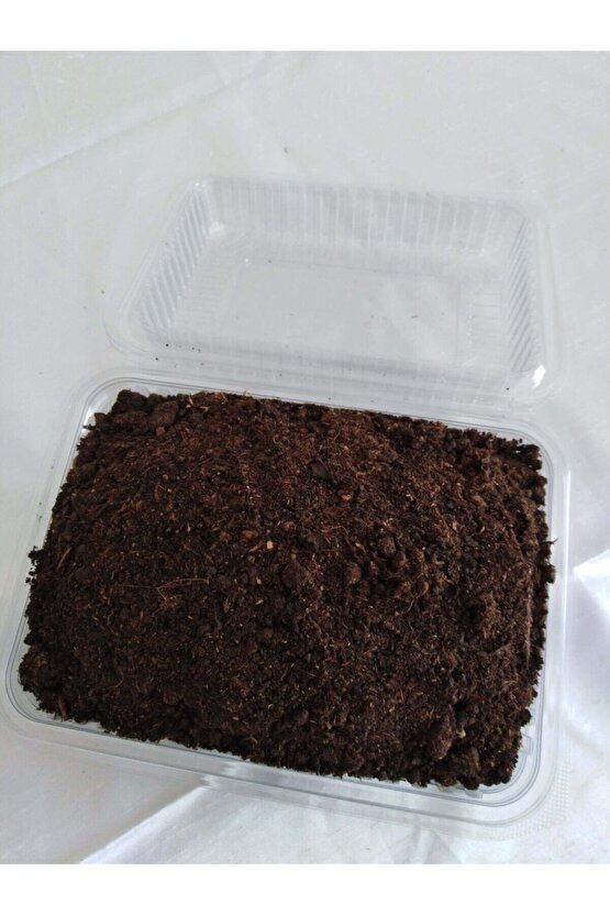 Kültür Mantarı Tohumu Ekili Kutu + Eğitim Kılavuzu