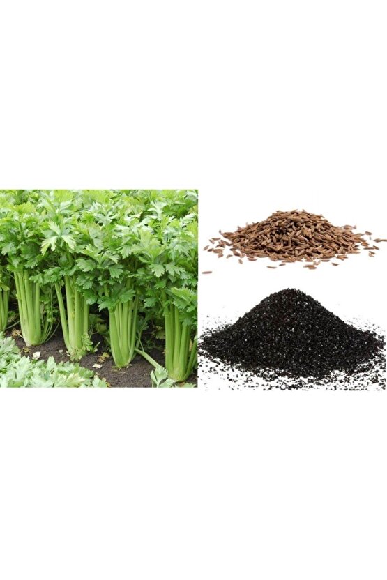 5000 Adet Geniş Yapraklı Köylü Maydanoz Tohumu Ve 8 Litre Maydanoz Ekim Torfu