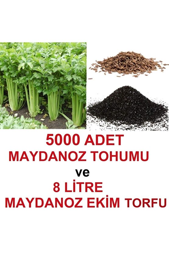 5000 Adet Geniş Yapraklı Köylü Maydanoz Tohumu Ve 8 Litre Maydanoz Ekim Torfu