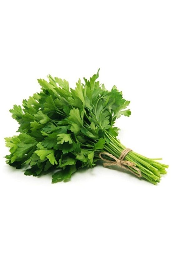 5000 Adet Geniş Yapraklı Köylü Maydanoz Tohumu