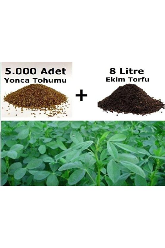 Kutuda 5000 Adet Yonca Tohumu Ve 8 Litre Ekim Torfu