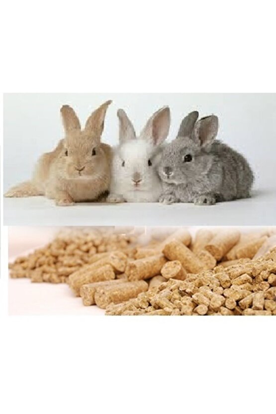 1000 gr Süper Kalite Tavşan Yemi