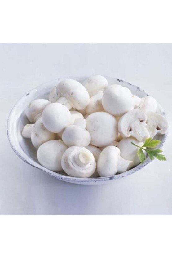 3000 Adet Kültür Mantarı Tohumu Ekim Poşeti Ve Eğitim Yönergesi + Hediye Üzüm Fidanı Tohumu