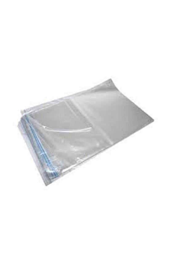 Istiridye Mantarı Ekim Torbası (şeffaf)