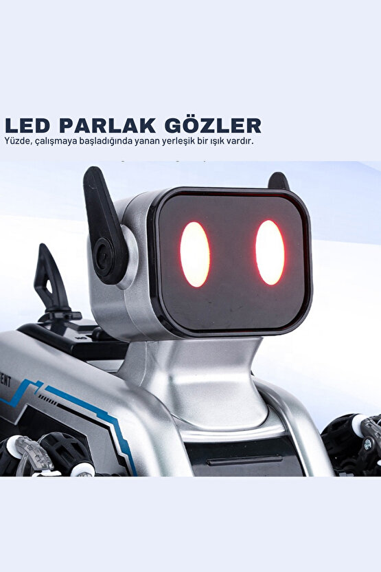 Oyuncak Şarjlı 2.4 Ghz Bilekten Kontrol Uzaktan Kumandalı Buharlı 8 Teker Çılgın Akrobat Köpek Araba