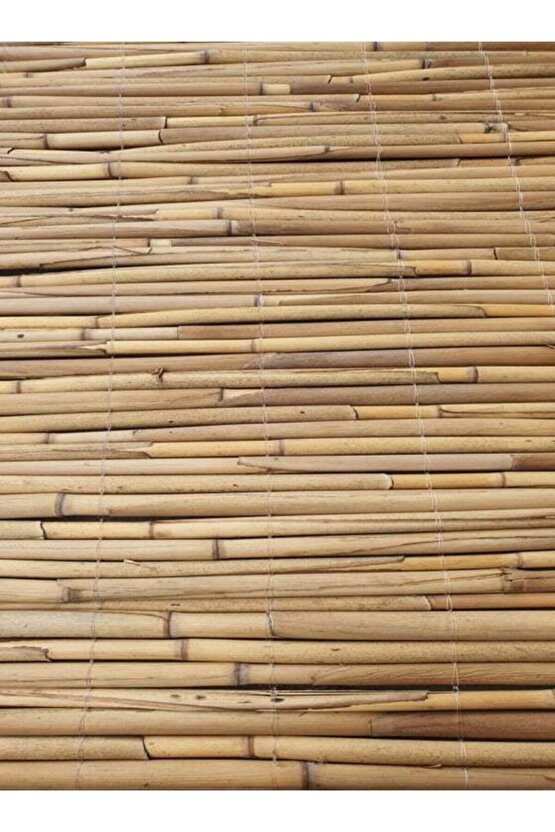 Kamış Çit Hasır Çit 1x4,5 Metre Eni 1 Metre Uzunluk 4,5 Metre
