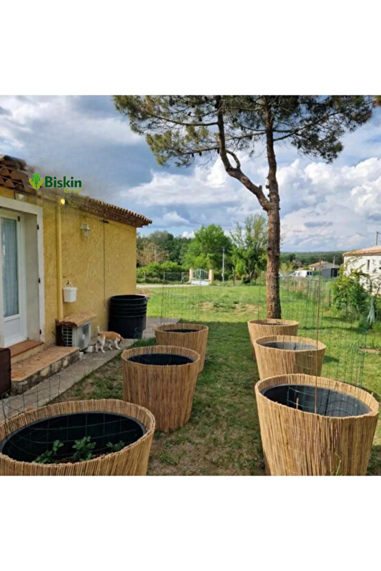 75cm Yükseklik X 150cm Genişlik Bambu Kamış Hasır Çit Dekoratif Bahçe Balkon Ve Duvar Çiti .