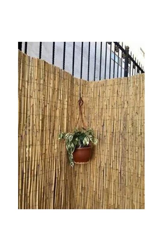 Kamış Çit 1 Metre X 1 Metre Balkon Çiti, Eber Gölünden Bambu Çit, Bahçe Çiti Ve Gölgelik