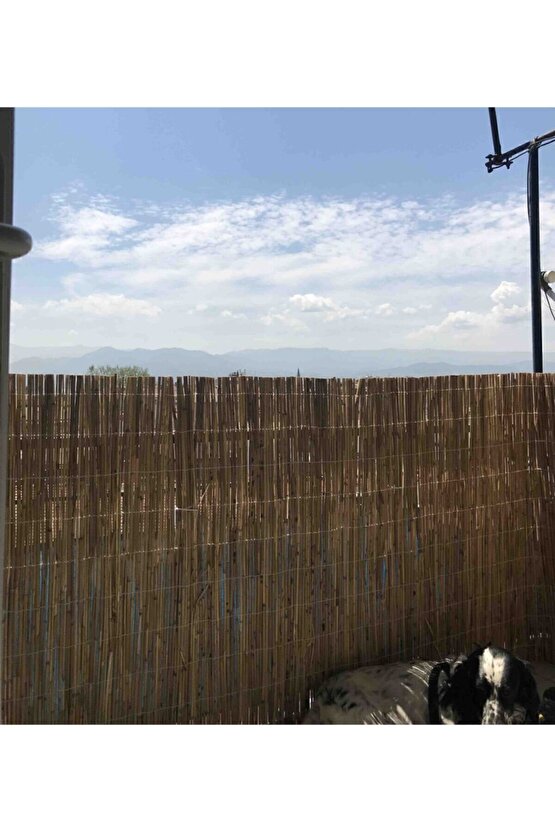 Doğal Kamış Hasır Çit 1,5m X 6m Doğal Bambu -bahçe Çiti - Gölgelik Hasır -tavan Dekorasyon