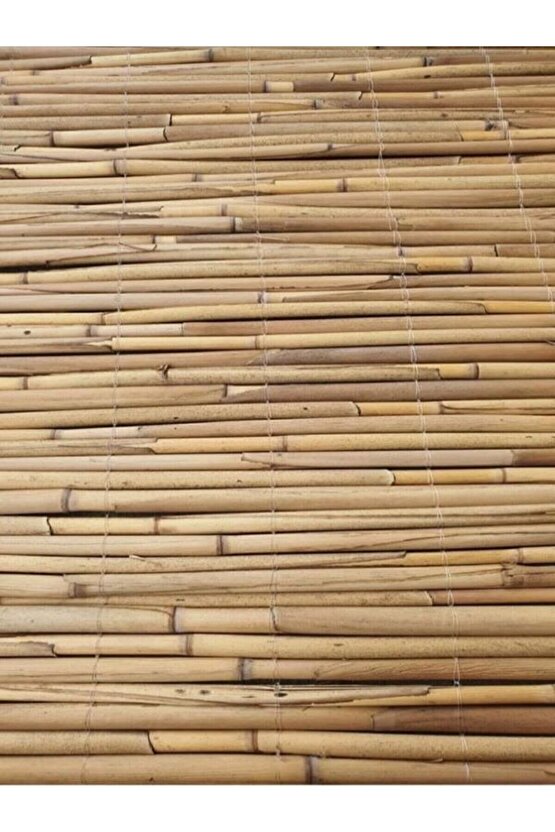 Kamış Çit Kamış Hasır Kamış Bambu 1,5*5 Metre Gölgelik Doğal Kamış Hasır Çit-gölgelik