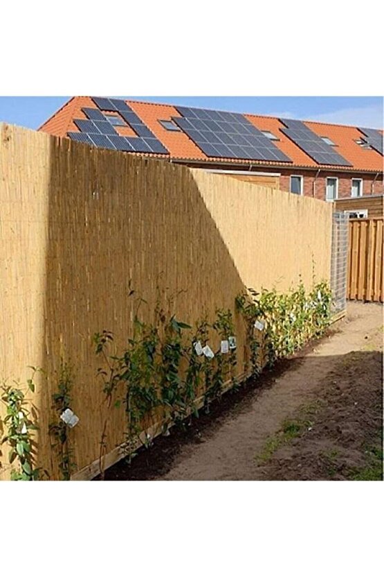 Doğal Kamış Hasır Çit 1,5m X 5m Doğal Bambu -bahçe Çiti - Gölgelik Hasır -tavan Dekorasyon