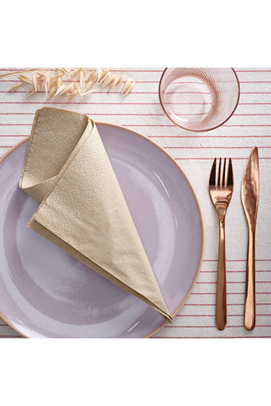 Fantastısk Peçete Bej 40x40 Cm 50 Adet Yüksek Emiş Gücü İthal