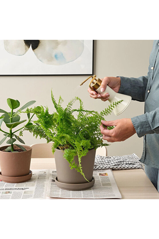 Krem-Altın Rengi Sprey Şişesi