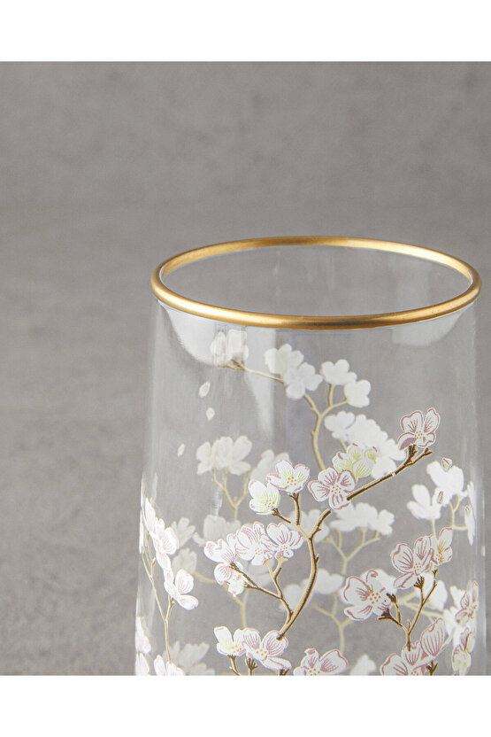 Sakura Dream Cam Bardak Şeffaf