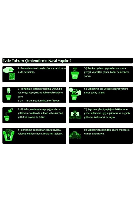 Mor Fesleğen Reyhan Tohumu-1 Gram