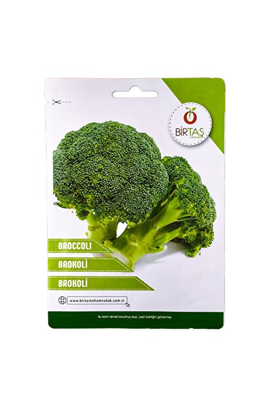 Brokoli Tohumu