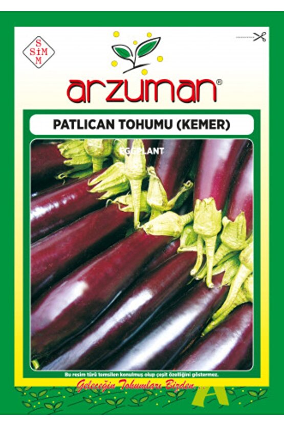 Kemer Patlıcan Tohumu 10gr