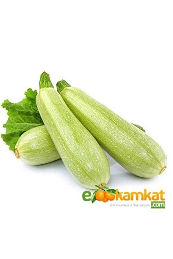 Beyaz Sakız Kabak Tohumu 10 Gr Paket