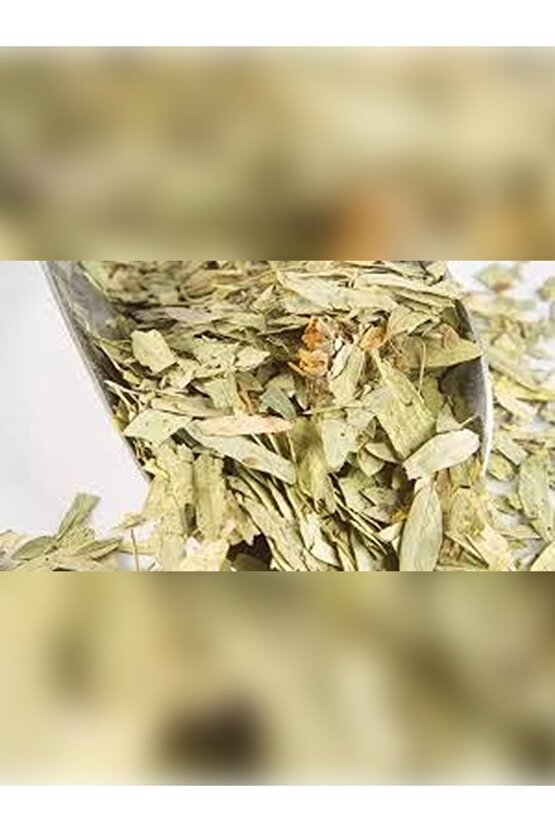 SİNEMAKİ OTU 100 GR