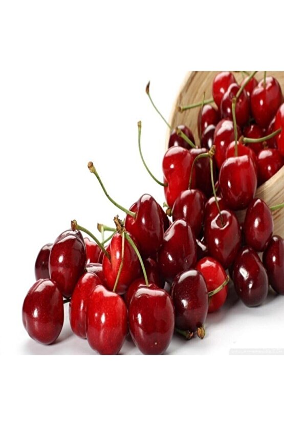 Vişne Tohumu 10 Adet