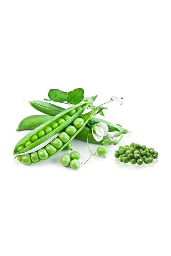 10 Adet Tohum Organik Orjinal Geleneksel Bezelye Tohumu