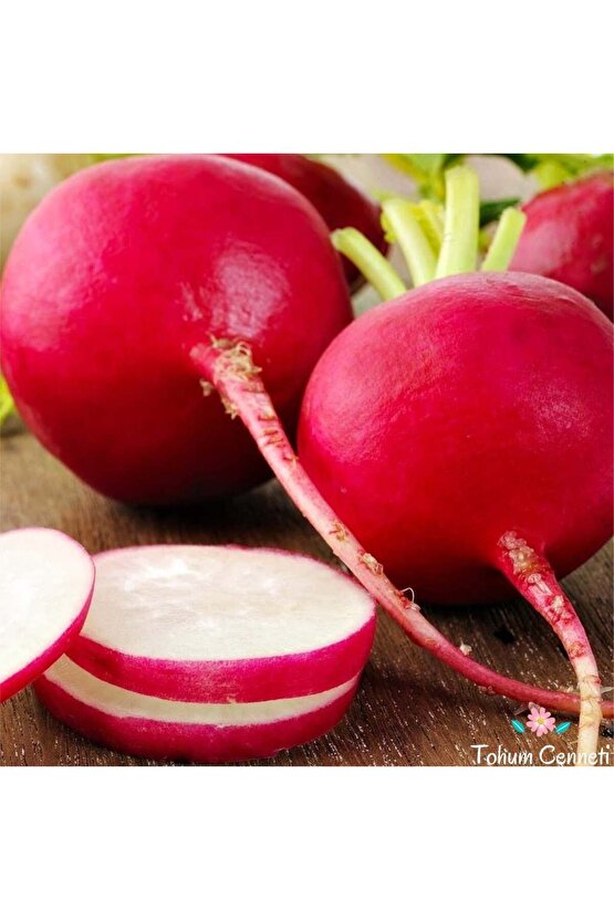 iri Kırmızı Turp Tohumu - 400 adet tohum yerli açık tohum