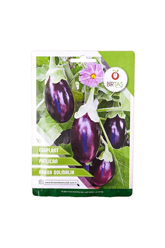 Dolmalık Patlıcan Tohumu