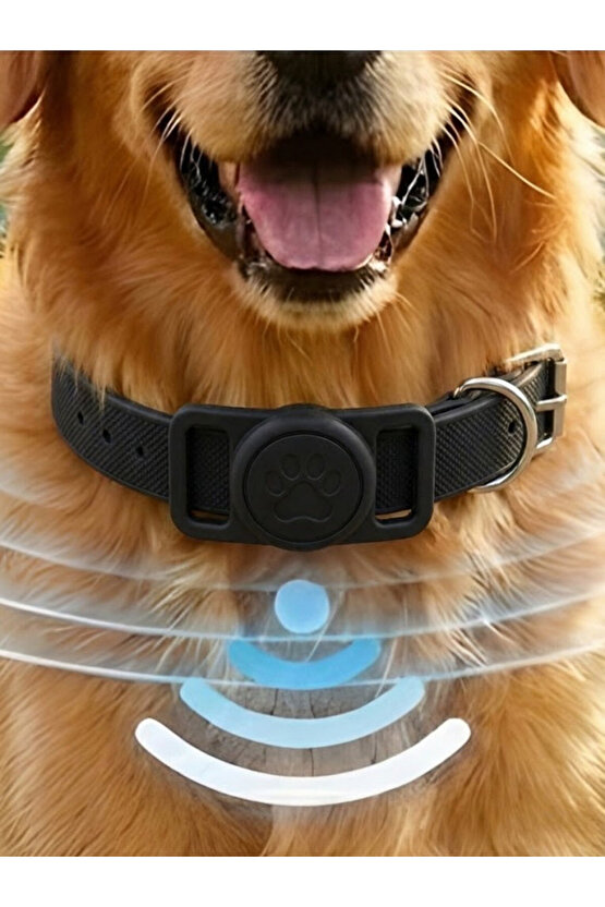 Boş Airtag Yuvalı Kedi Köpek Tasması Evcil Hayvan Pet Takip Cihazı Silikon Yaka Kılıfı Şık Tasarım
