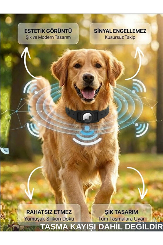 Boş Airtag Yuvalı Kedi Köpek Tasması Evcil Hayvan Pet Takip Cihazı Silikon Yaka Kılıfı Şık Tasarım