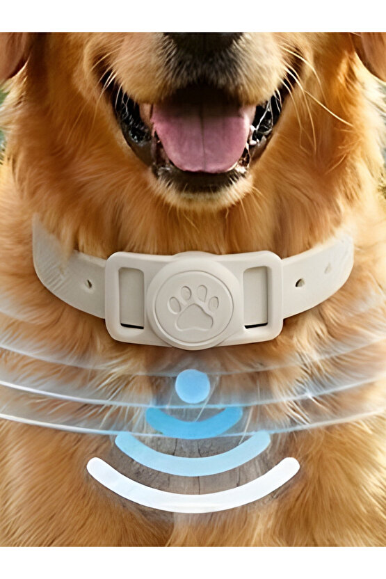Boş Airtag Yuvalı Kedi Köpek Tasması Evcil Hayvan Pet Takip Cihazı Silikon Yaka Kılıfı Şık Tasarım