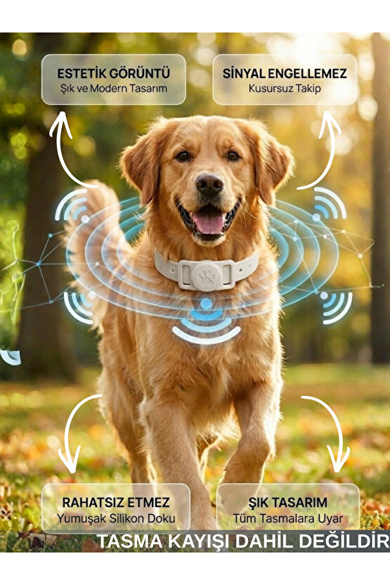 Boş Airtag Yuvalı Kedi Köpek Tasması Evcil Hayvan Pet Takip Cihazı Silikon Yaka Kılıfı Şık Tasarım