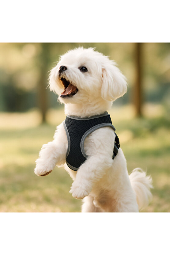 S-M-L Yıkanabilir Mesh Fileli Göğüs Tasması Nefes Alabilir Terletmez Dayanıklı Klipslı Cırtlı Tasma