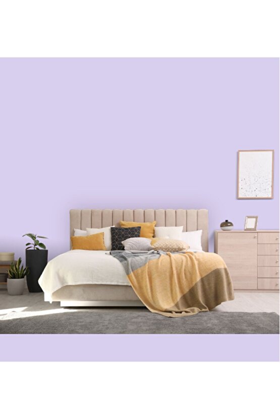 Momento Max Tam Silinebilir Ve Yıkanabilir Silikonlu Iç Cephe Boyası