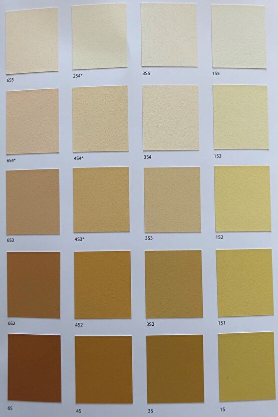 Aqusto Silan Silikonlu Dış Cephe Boyası 2,5 Lt. 38s