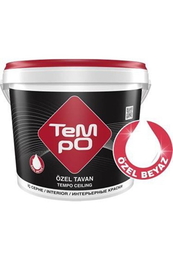 Özel Tavan 10 Kg