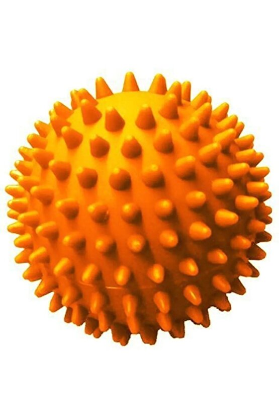 Duyu El Ayak Vücut Egzersiz Fizik Tedavi 5 Cm