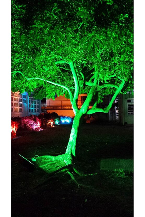 Elektrikle Çalışır, 50 Watt Yeşil Işık İç ve Dış Mekan Slim Led Projektör, Yağmurdan Etkilenmez