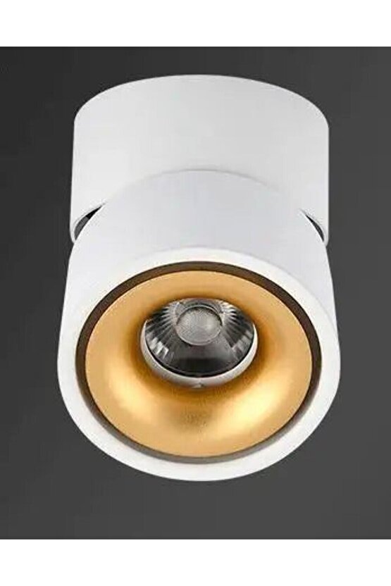 Elektrikle Çalışır, Alüminyum Kasa, 10 Watt Günışığı Ledli Modern Tasarım Ledli Tavan - Duvar Spotu