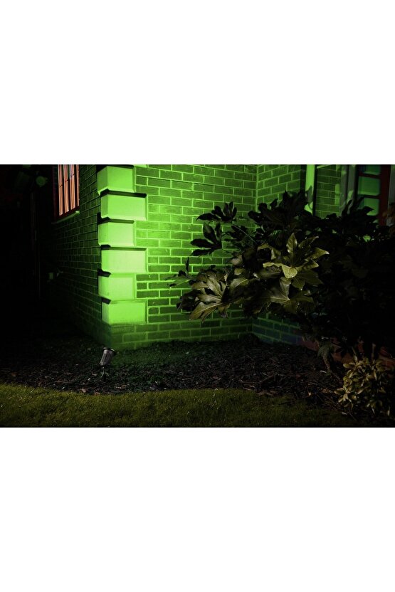 Tek Yönlü Dekoratif Iç Dış Mekan Aplik Eskitme Amber Işık