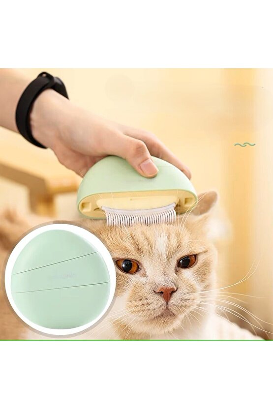 Kedi Bakım Tarağı Temizleme Fırçalı, Masaj Etkili Tüy Dökme Önleyici Tarak 3’ü 1 Arada