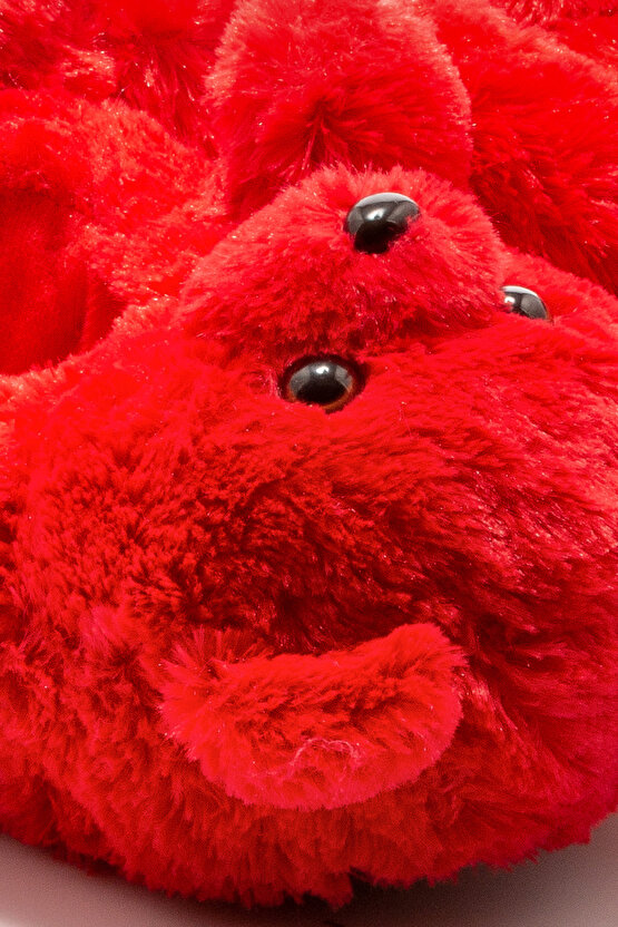 Teddy Kadın Hayvanlı Panduf Kırmızı 3641