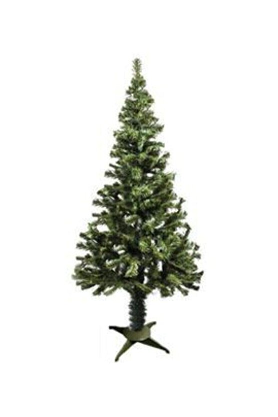 150 Cmyeşilyılbaşı Agacı 4 Lü Ayak 240 DAL KUTULU