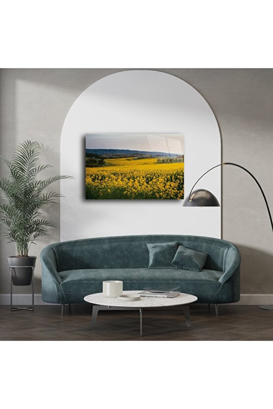 Doğal Gün Batımı Manzaralı Kanola Tarlası Tuval Tablo
